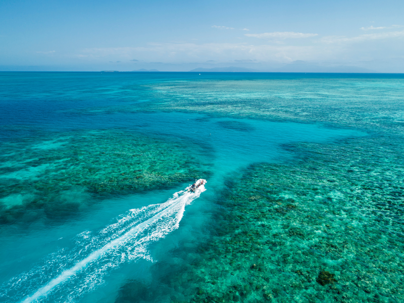 Experience the Great Barrier Reef on board the Ocean Freedom