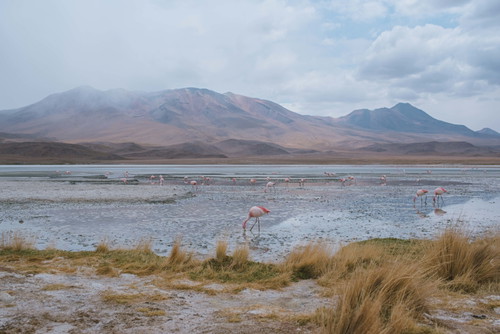 Veduta della Laguna Hedionda