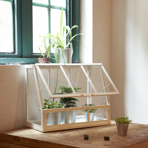 La serra bianca Äkerbär è perfetta per contenere piante decorative e cactus, ma anche oggetti di design come complemento di arredo.