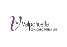 Consorzio Valpolicella lädt zum Tasting in Zürich