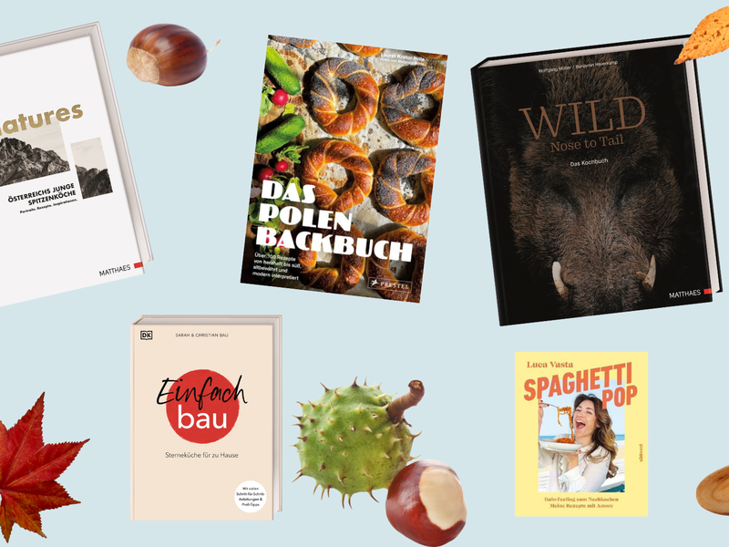 Canva/DK Verlag/Shutterstock