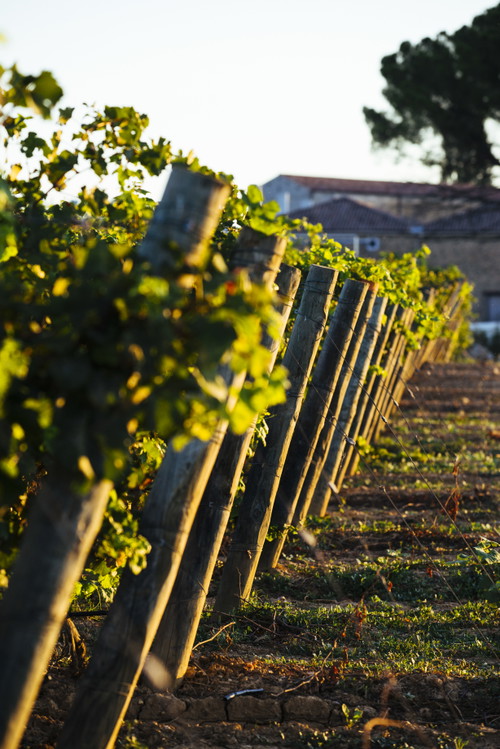 Domaine De La Baume