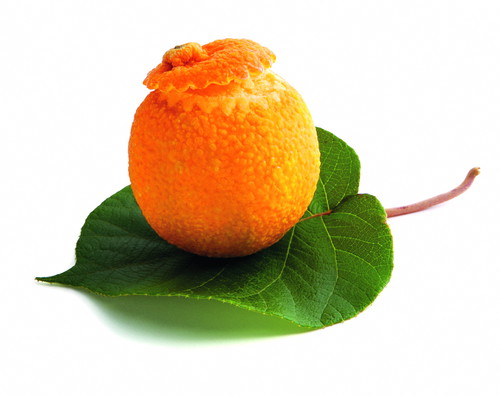 Eine Eis-Mandarine