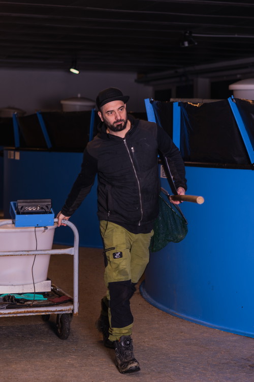 Fischmeister  Herwig Gahleitner bei der Arbeit.