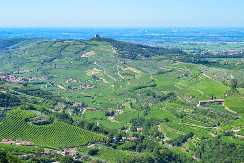Das Weinbaugebiet Valpolicella liegt nördlich von Verona und östlich des Gardasees.