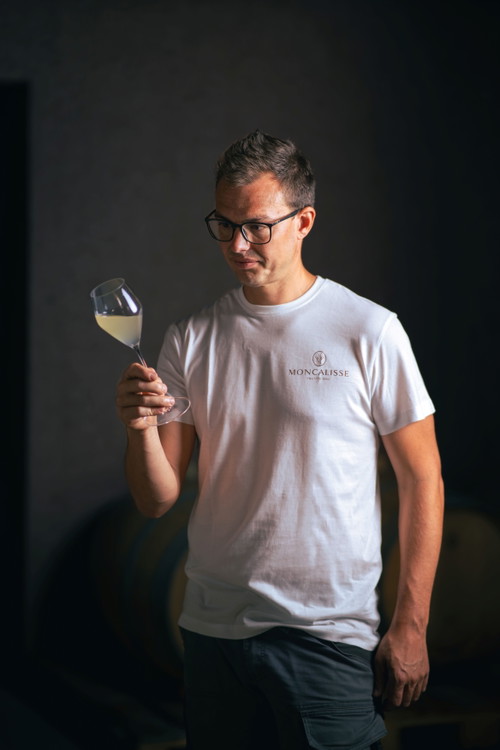Stefano Bolognani