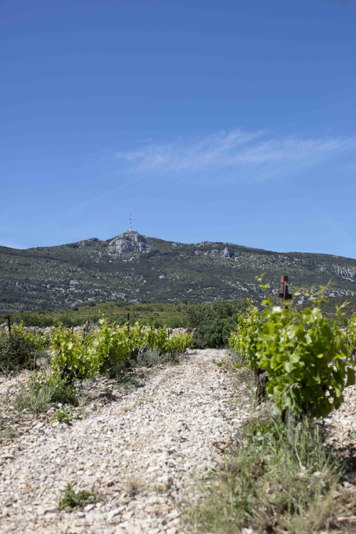 Terrasses du Larzac