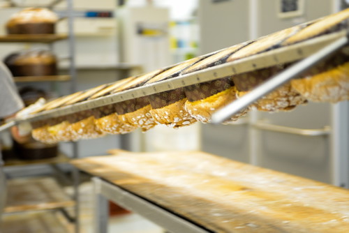 Panettone wird hängend getrocknet.