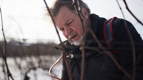 foto: Marek Dvořák