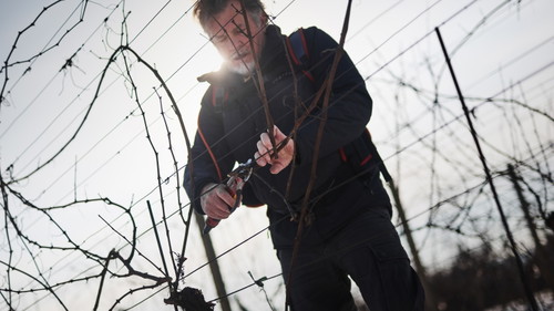 foto: Marek Dvořák