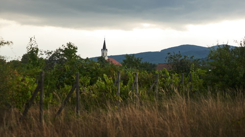 foto: Marek Dvořák
