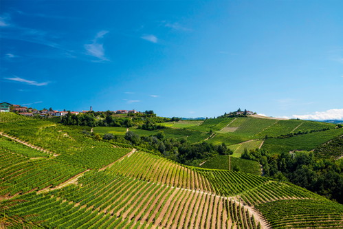 Die sanften Hügel der Langhe im Piemont, Heimat großer Weine und Ursprung des Schaumweins Alta Langa.