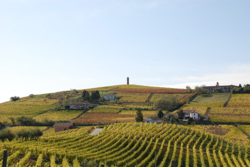 Veduta delle colline