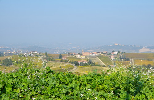 Veduta delle colline