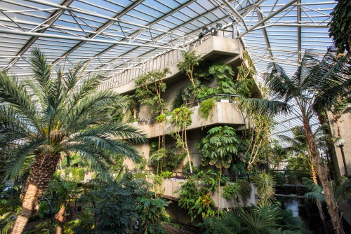La Conservatory del Barbican Centre