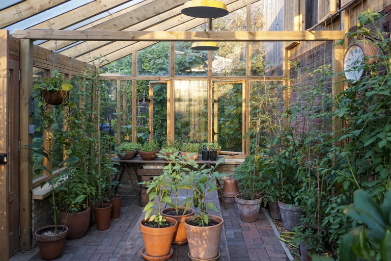 Dalston Eastern Curve Garden