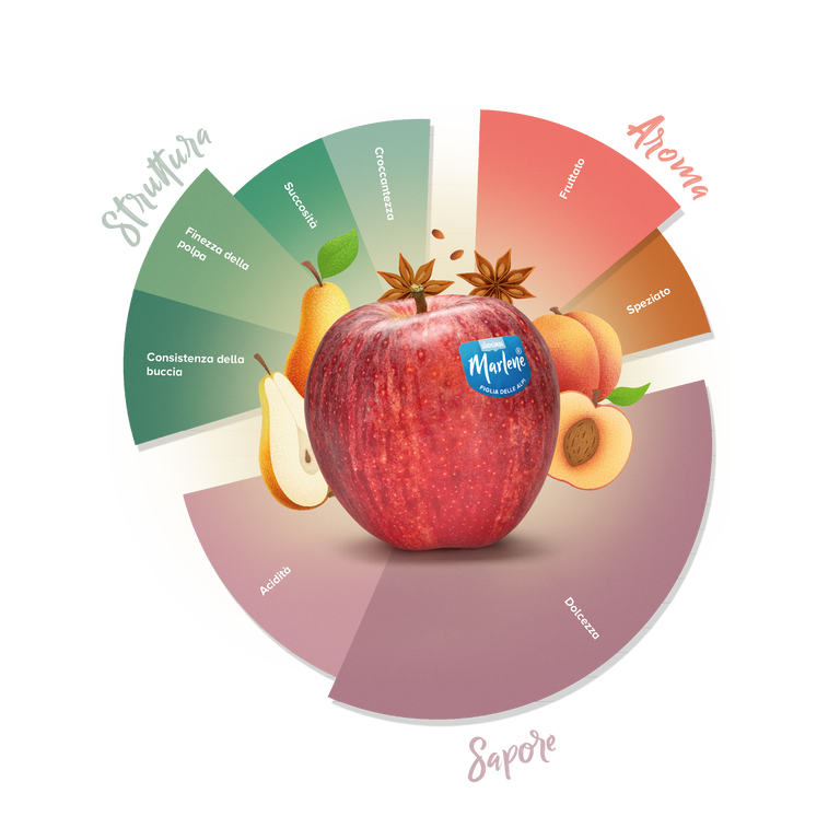 Ruota degli Aromi, varietà Gala