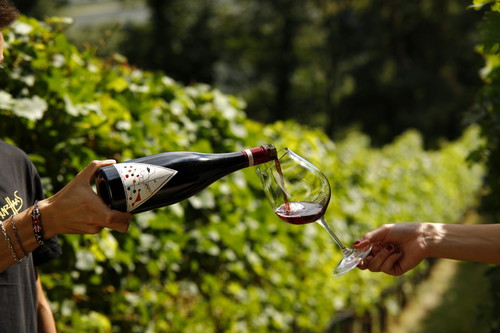 Il Pinot Nero Pònkler