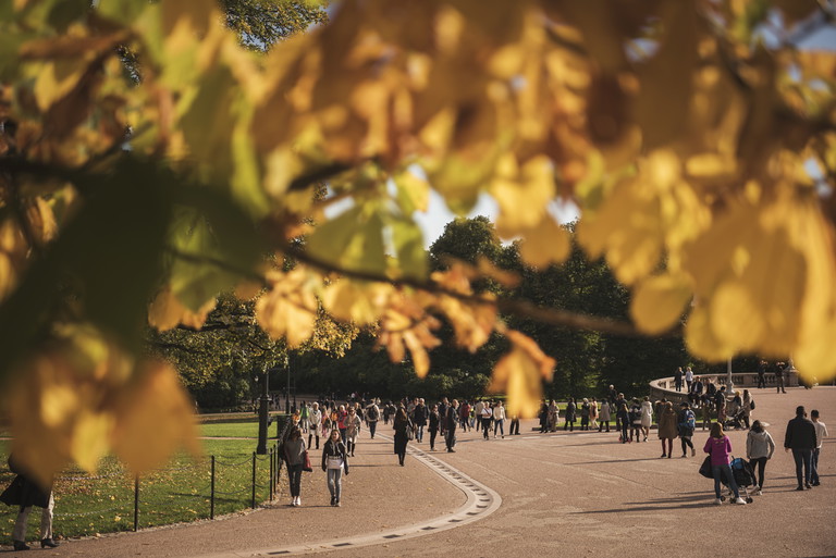 Oslo's Palace Square