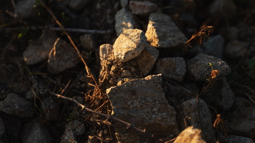 foto: Marek Dvořák