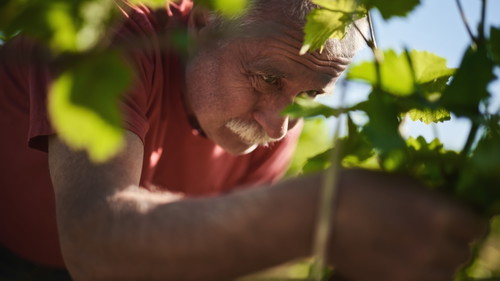 foto: Marek Dvořák