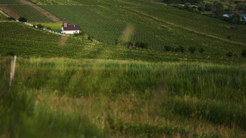 foto: Marek Dvořák