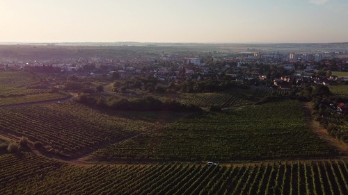 foto: Marek Dvořák