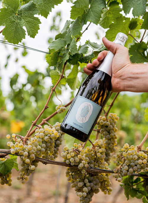 Das Weingut Leitz aus dem Rheingau hat mit seiner Produklinie »Eins-Zwei-Zero« neue Maßstäbe im deutschsprachigen Raum gesetzt.