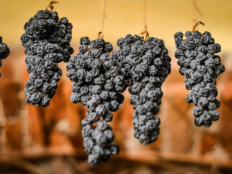 Rund 120 Tage trocknen die Trauben – Corvina, Corvinone und etwas Rondinella –, bevor sie zu köstlichem Amarone verarbeitet werden. 