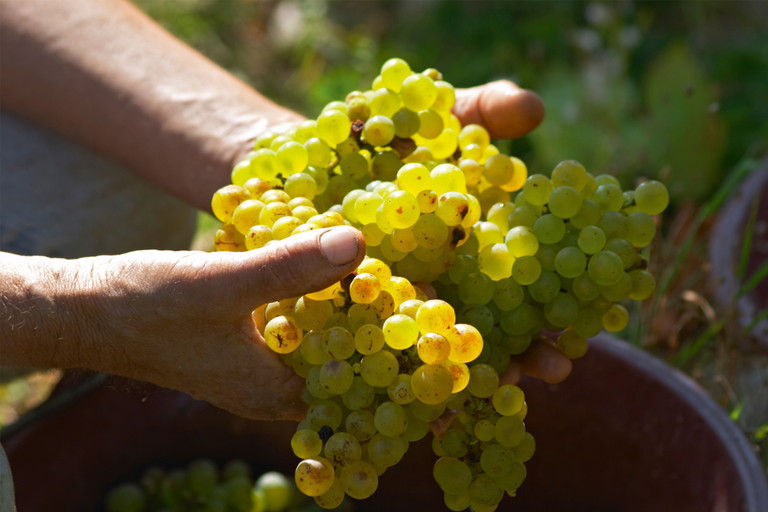 Credit: Per Karlsson, BKWine 2 / Alamy Stock Photo