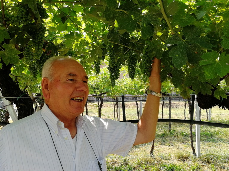 Carlo Speri