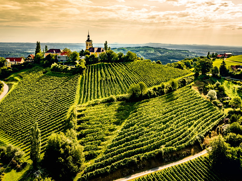 Die pittoreske Südsteiermark ist Herkunft einer großen Bandbreite an lebendigen Jungweinen. 