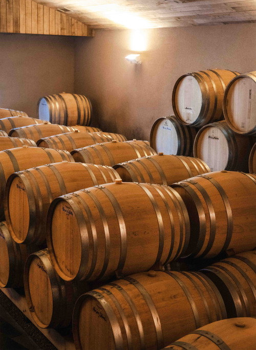 Thibaud Boudignon setzt beim Weinausbau auf große Holzgebinde, um die charakteristische Stilistik seiner Weine zu bewahren.