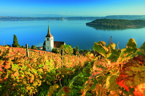 Das malerische Nordufer des Bielersees gehört zu den Schweizer Top-Terroirs – nicht nur, aber auch für Pinot Noir. Der See spielt dabei eine zentrale Rolle.