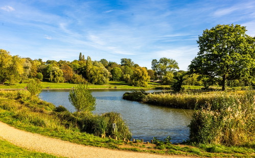 Hampstead Heath in London