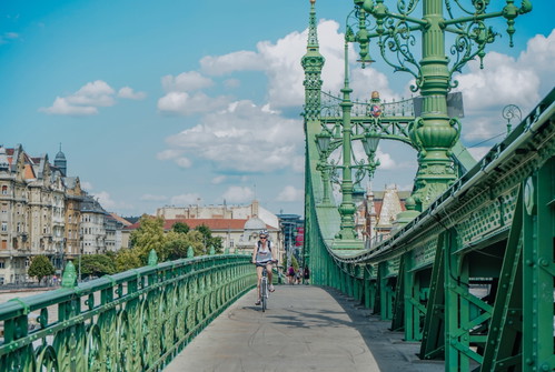 Die Freiheitsbrücke in Budapest