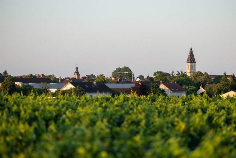 1er cru-vignes rondes