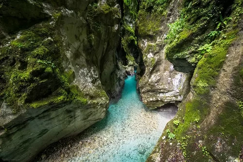 Tra boschi e cascate