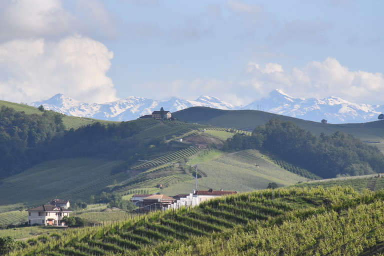 Veduta dall'Annunziata a La Morra