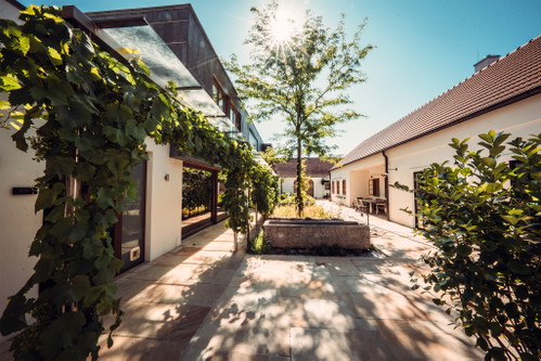 Das Weingut Bernhard Ott 