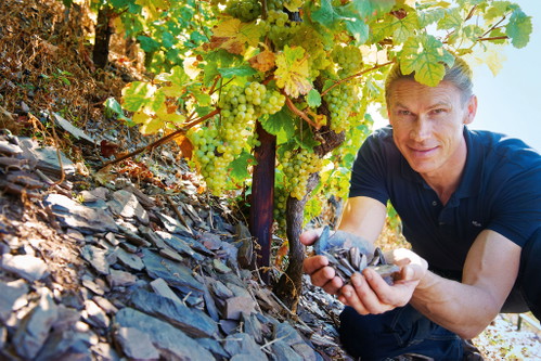 Roman Niewodniczanski, Weingut van Volxem, hält das Glück in Händen: Schiefersteine – wie sie auch den Siegerwein aus dem Scharzhofberg geprägt haben.