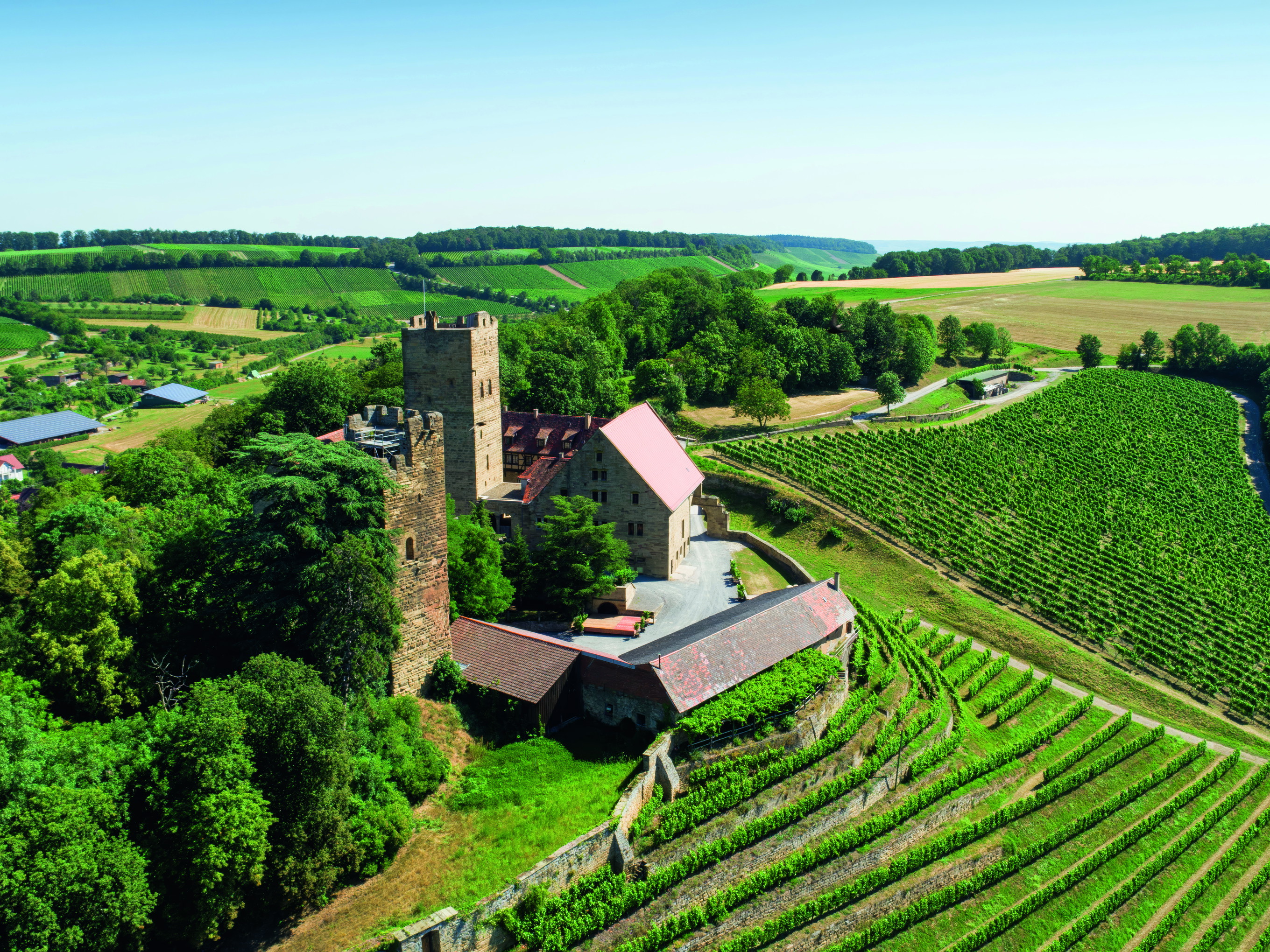 Die Burgruine Neipperg ist ein Wahrzeichen des Lemberger: Die Grafen von Neipperg sollen im 18. Jahrhundert den Lemberger nach Württemberg gebracht haben.