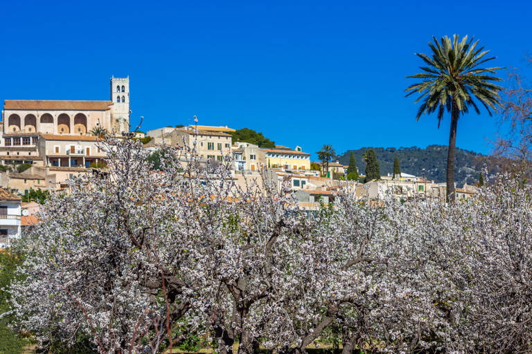 Selva, Mallorca