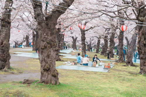 Goryokaku Tower Park in Hakodat Stadt, Hokkaido 