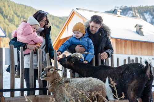Tiergehege im »Dachsteinkönig – Familux Resort«