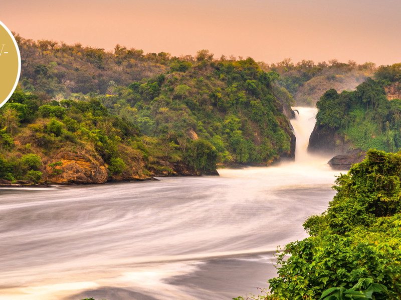 Wo Elefantenherden ziehen und Giraffen durch die Weite schreiten: Im Murchison Falls Nationalpark und Queen Elizabeth Nationalpark erleben Sie Afrikas Savanne in ihrer eindrucksvollsten Form.