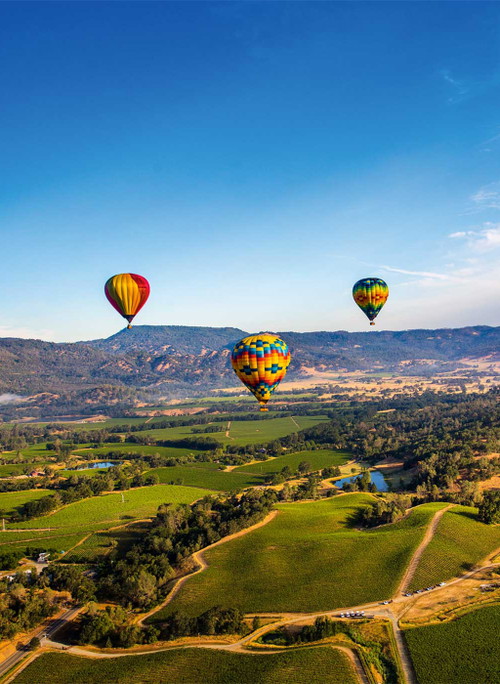 Das Napa Valley 