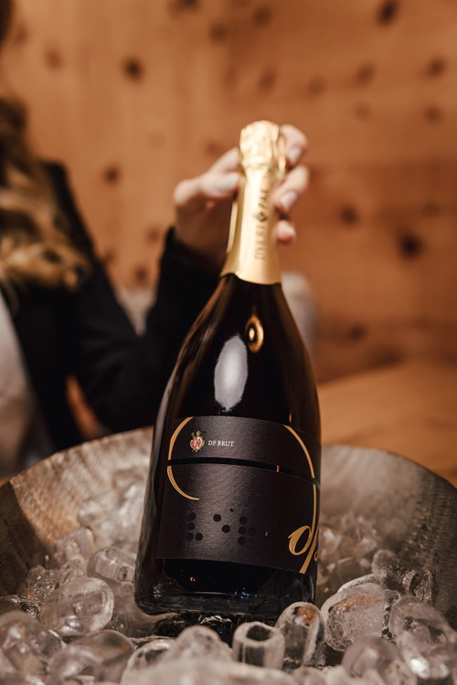 Dveri Pax DP Brut