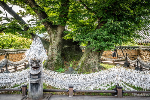 Andong, Wunschbaum