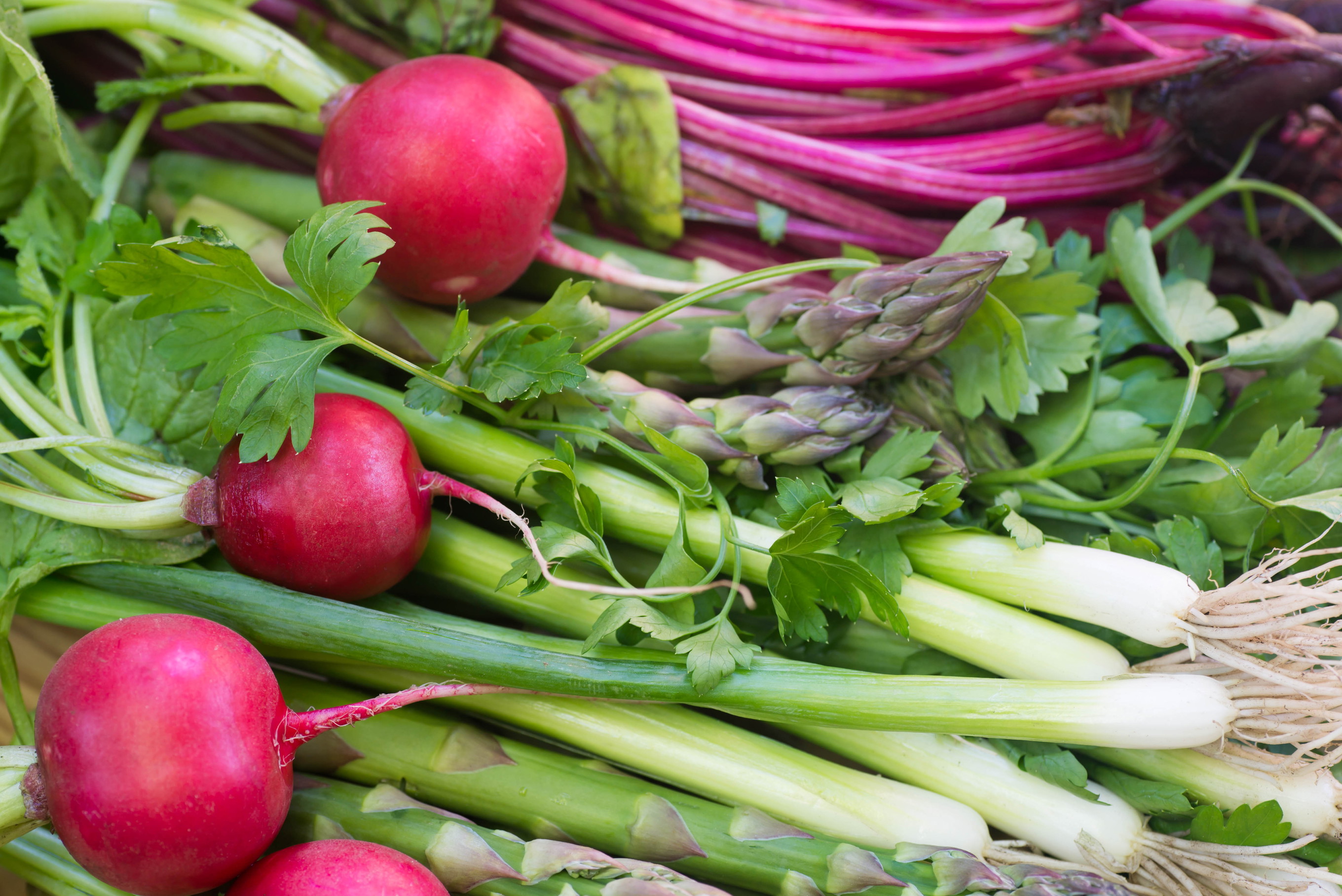 Nordic Spring: The First Ingredients of the Season - Falstaff